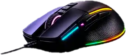 Mouse